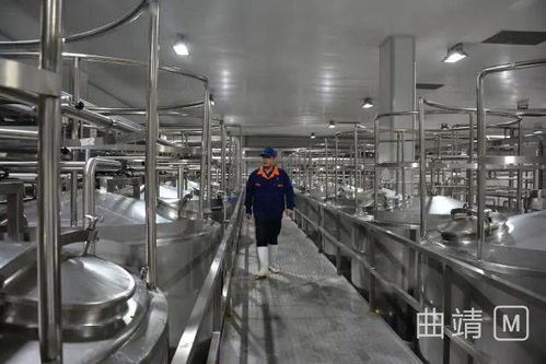 陸良2.8億投資項目順利進(jìn)入試生產(chǎn)階段，區(qū)域經(jīng)濟(jì)迎來發(fā)展新動能